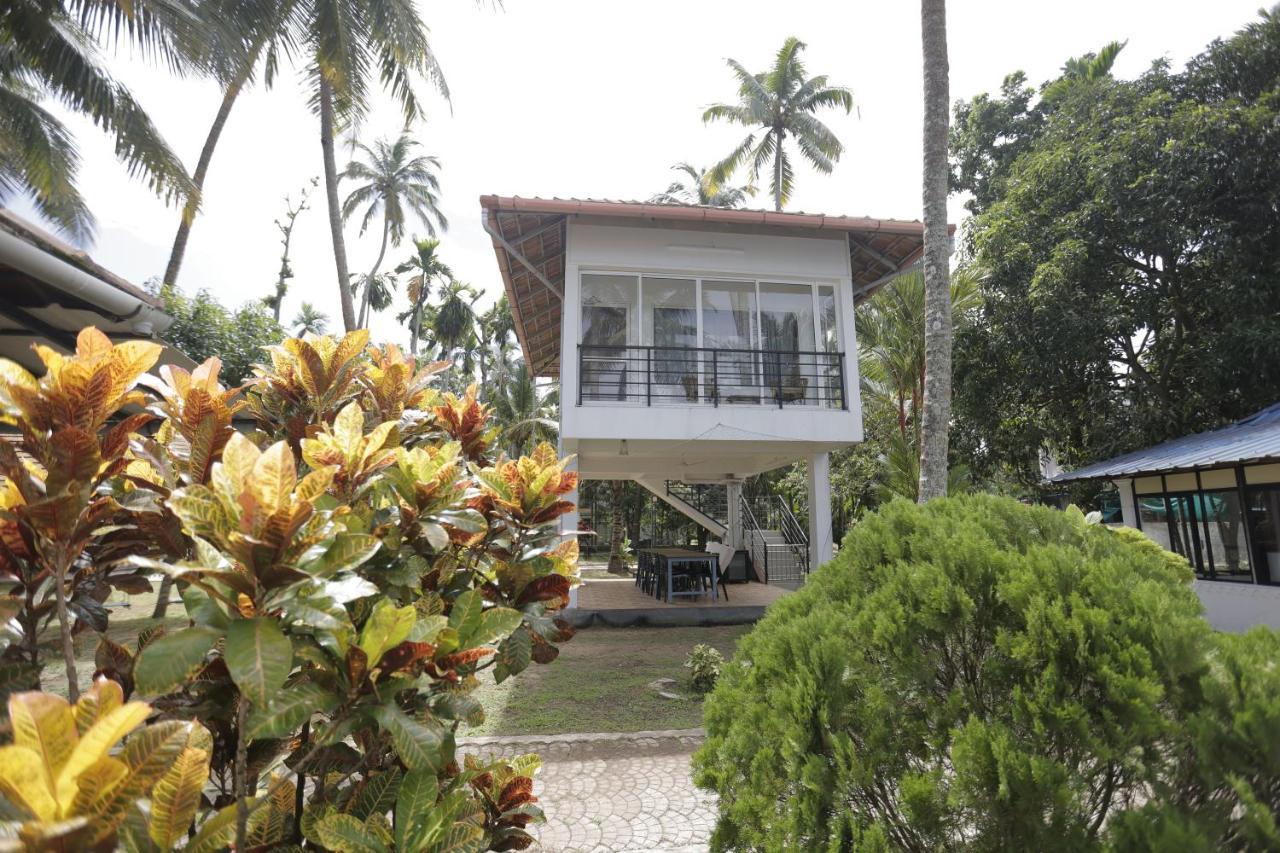 Kallanchery Retreat Kochi Ngoại thất bức ảnh